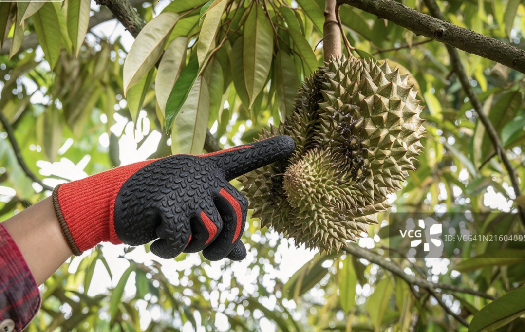6ab2390a11c08.png 图片1.png